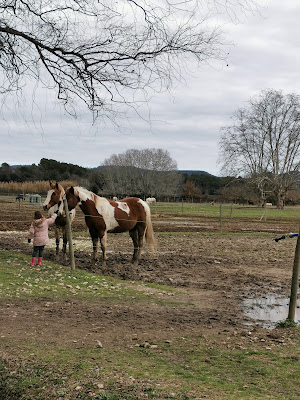 centre équestre Cheval et soleil à Pertuis