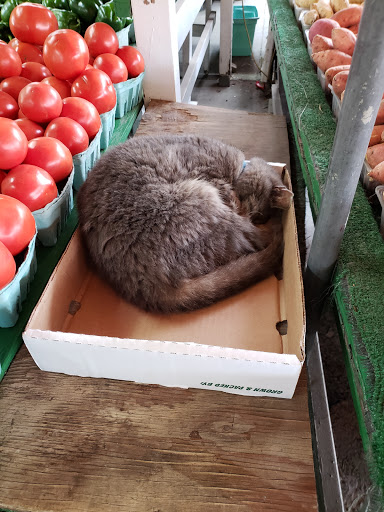 Produce Market «Puglias Produce», reviews and photos, 381 Fries Mill Rd, Sewell, NJ 08080, USA