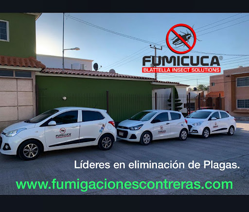 Fumigaciones Contreras by Fumicuca