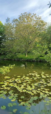 SAINT GERMAIN DU CORBEIS à Champfleur