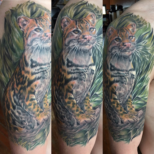 Tattoo Shop «Moth Studio», reviews and photos, 428 W Commercial St, Springfield, MO 65803, USA