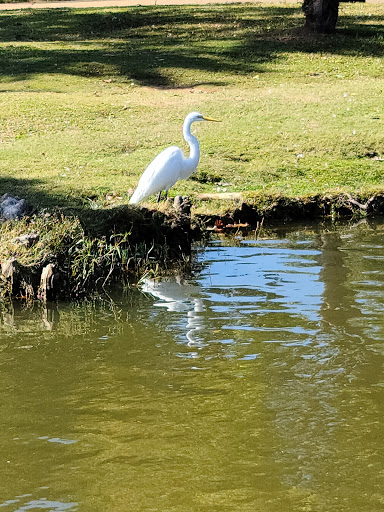 Park «Chisholm Park», reviews and photos, 2200 Norwood Dr, Hurst, TX 76054, USA