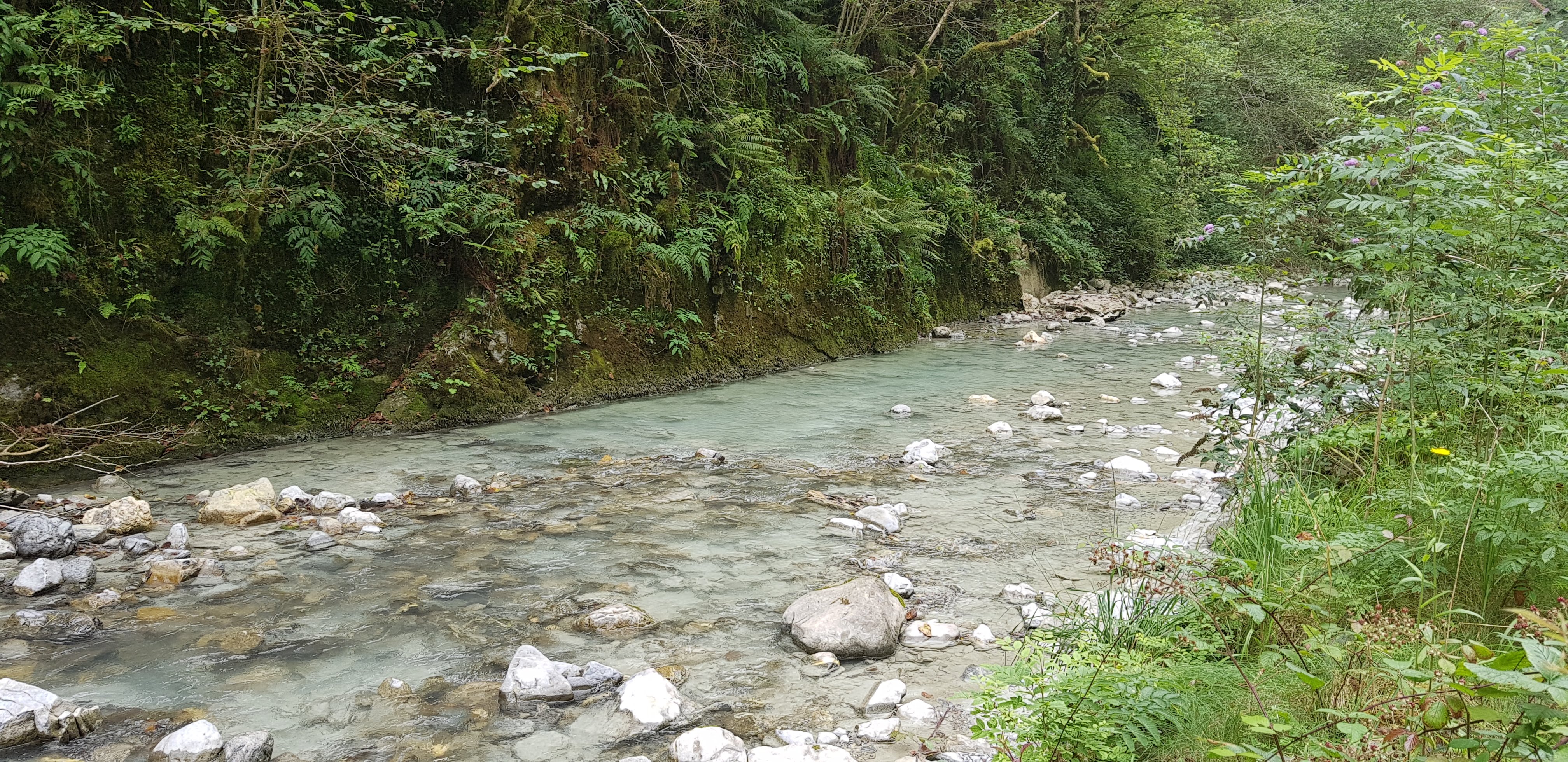 Photo n° 8 de l'avis de Jérôme.I fait le 25/08/2018 à 10:55