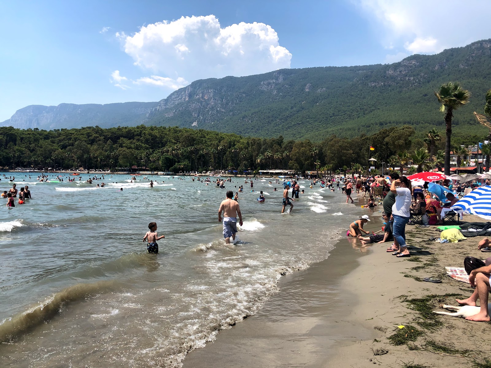 Akyaka Plaji'in fotoğrafı ve yerleşim