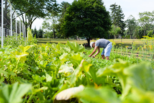 Grow to Give Garden image 1