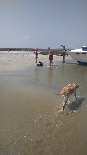 Explore tattoo ideas inner arm, creative tattoo ideas in Corpus Christi, available at Electra Art