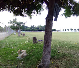 Unidad Deportiva Batan photo