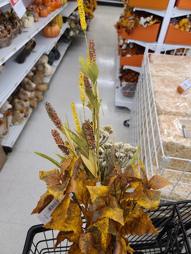 Fabric Store «Jo-Ann Fabrics and Crafts», reviews and photos, 311 Sagamore Pkwy N, Lafayette, IN 47904, USA