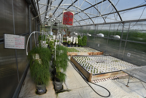 Grocery Store «Water Fresh Farm Marketplace», reviews and photos, 151 Hayden Rowe St, Hopkinton, MA 01748, USA