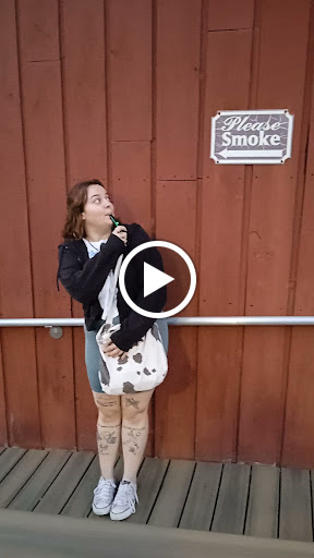 Performing Arts Theater «The Center for Performing Arts at Rhinebeck», reviews and photos, 661 NY-308, Rhinebeck, NY 12572, USA