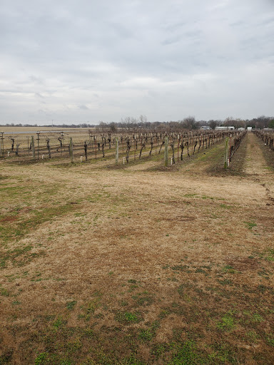 Vineyard «Canadian River Vineyard and Winery LLC», reviews and photos, 7050 Slaughterville Rd, Lexington, OK 73051, USA