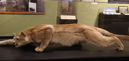 History Museum «The State Museum of Pennsylvania», reviews and photos, 300 North St, Harrisburg, PA 17120, USA