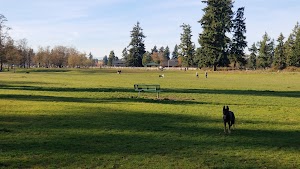 Fort Steilacoom Dog Park - photo 73