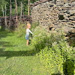 Photo n° 4 de l'avis de Ferbian.a fait le 18/07/2023 à 11:41 pour The Rural Bellanger House à Saint-Pierre-Chérignat