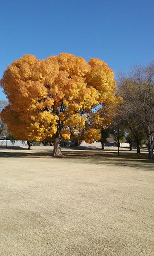 Park «Cielito Park», reviews and photos, 3402 W Campbell Ave, Phoenix, AZ 85017, USA