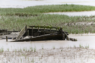 Photo n°43 de 17 FORT-ROYER Dégustation à Saint-Pierre-d'Oléron ()