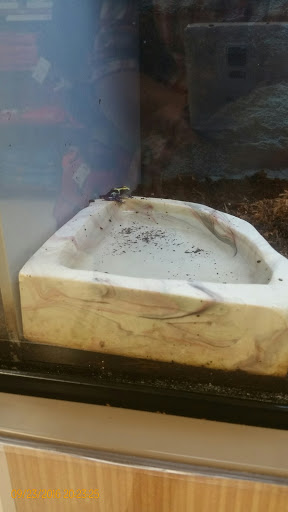 Pet Supply Store «Petco Animal Supplies», reviews and photos, 4175 Dowlen Rd, Beaumont, TX 77706, USA