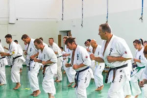 Kyokushin Karate Sportegyesület Nagyatád image