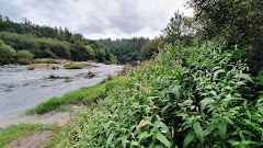 Ruta Fervenza Pozo Negro