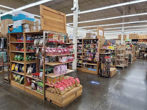 Furniture Store «Cost Plus World Market», reviews and photos, 6101 Long Prairie Rd #300, Flower Mound, TX 75028, USA