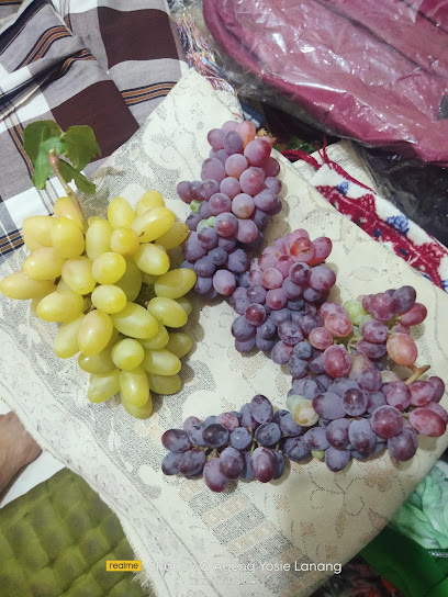 Kebun Anggur 'Yo' Lanang'