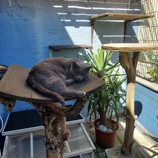 Tierarztpraxis Benjamin Fischer unter Aham, Bayern