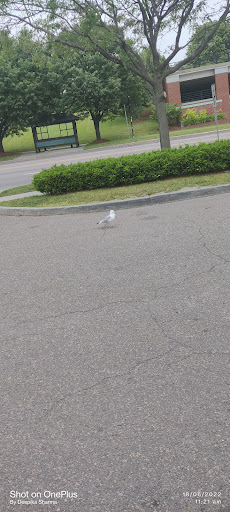 Cafe «Burlington Bay Market & Cafe», reviews and photos, 125 Battery St, Burlington, VT 05401, USA