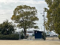 はなのき広場