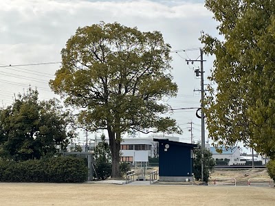 はなのき広場