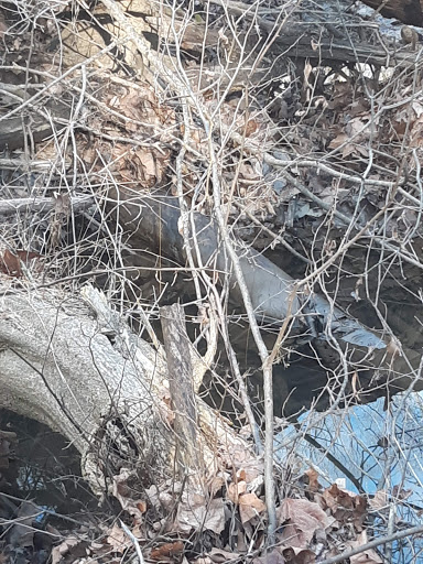 Nature Preserve «White Clay Creek State Park Nature Center», reviews and photos, 1475 Creek Rd, Newark, DE 19711, USA