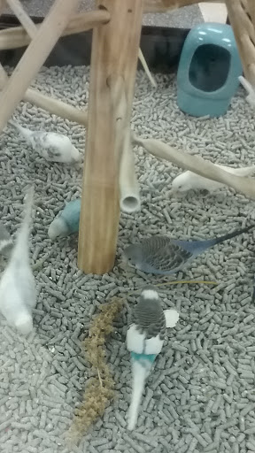 Pet Supply Store «Petco Animal Supplies», reviews and photos, 1450 Twixt Town Rd, Marion, IA 52302, USA