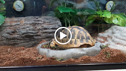 Pet Supply Store «Petco Animal Supplies», reviews and photos, 1570 Crater Lake Dr #300, Kennesaw, GA 30152, USA