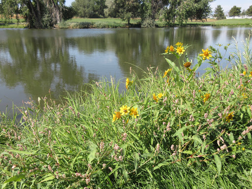 Golf Course «Broken Tee Golf Course», reviews and photos, 2101 W Oxford Ave, Englewood, CO 80110, USA