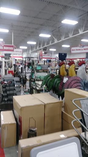 Home Improvement Store «Tractor Supply Co.», reviews and photos, 10 Plaza Dr, Winder, GA 30680, USA