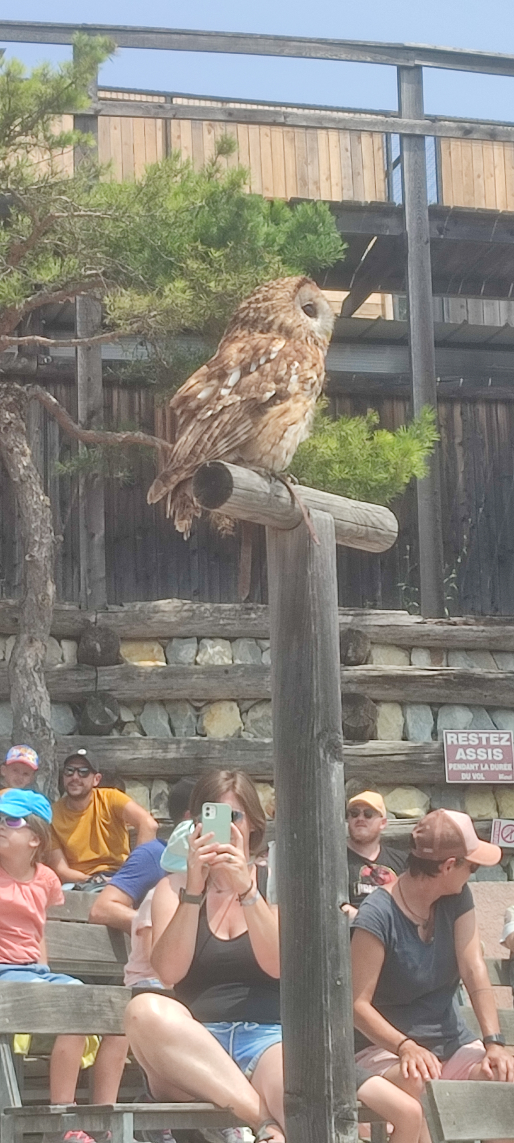 Photo n° 4 de l'avis de Sandra.o fait le 22/07/2023 à 13:04