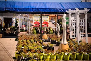 MacArthur’s Nurseries Inc. image