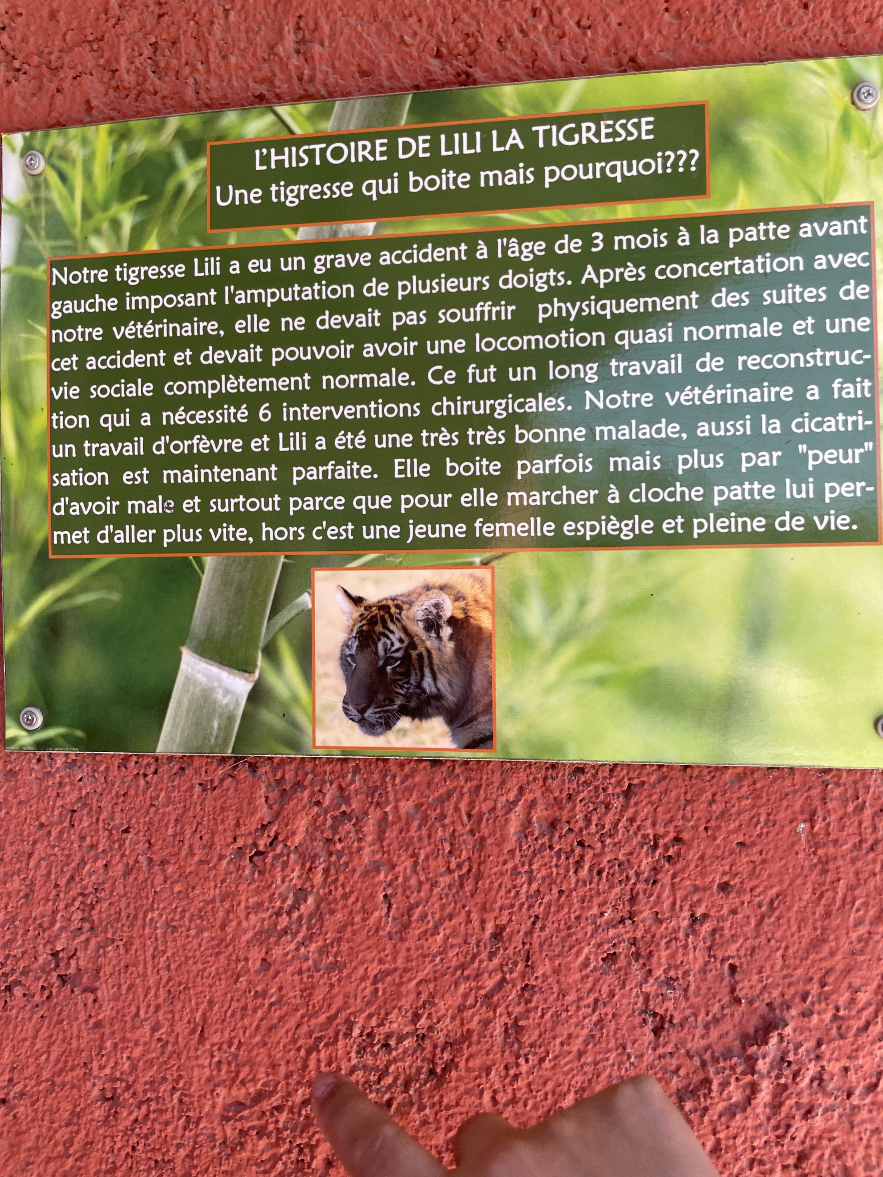 Photo n° 2 de l'avis de Alexandra.e fait le 14/08/2023 à 20:42