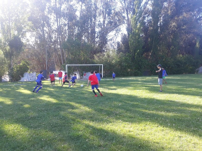 Club deportivo San Alfonso de Codigua - Campo de fútbol