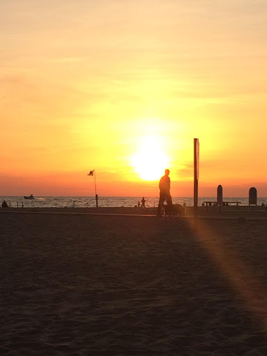 Live Music Venue «The Ark», reviews and photos, 316 S Main St, Ann Arbor, MI 48104, USA