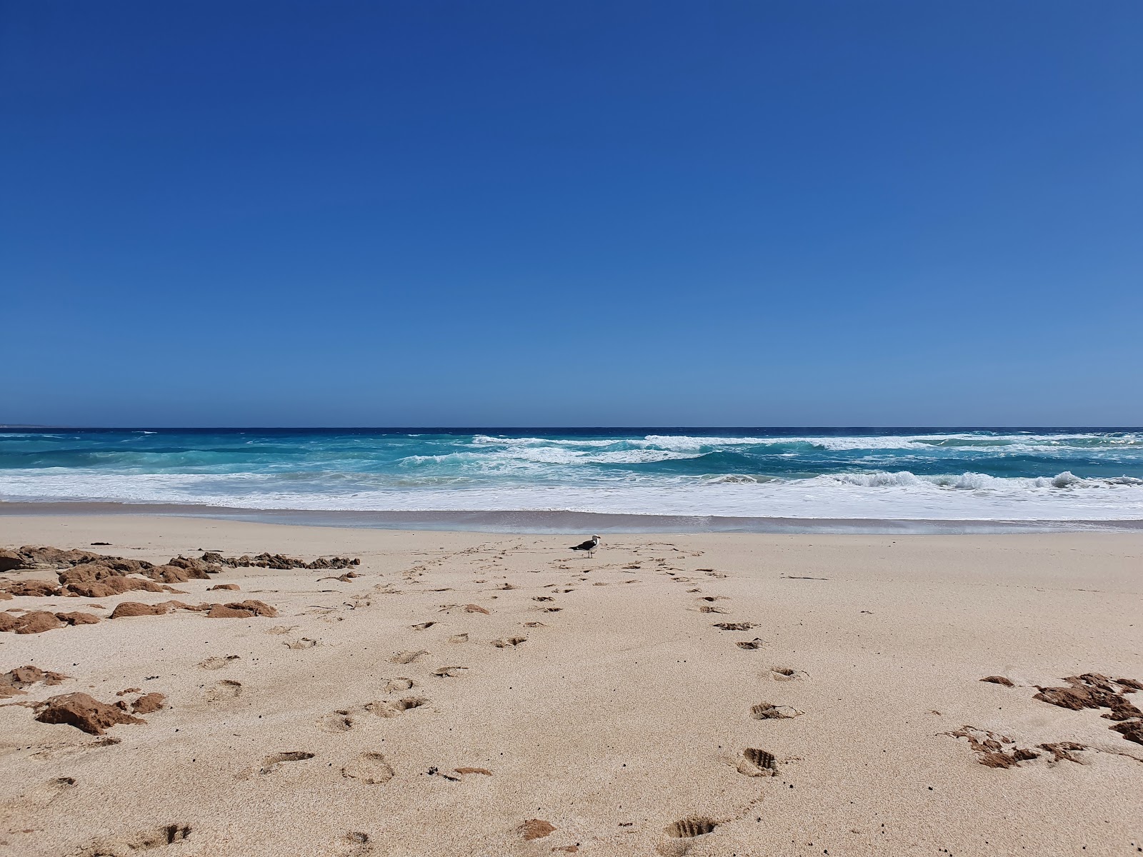 Foto von Back Beach mit langer gerader strand