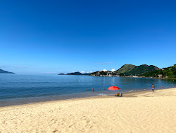 Photo de Plage Brava protégé par des falaises