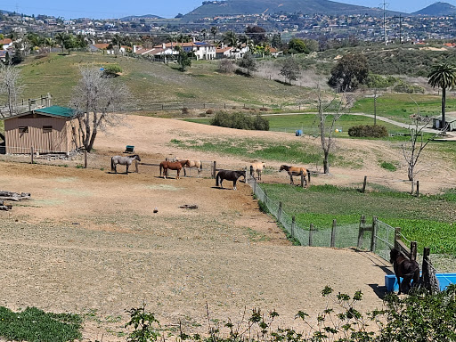 Golf Club «Aviara Golf Club», reviews and photos, 7447 Batiquitos Dr, Carlsbad, CA 92011, USA