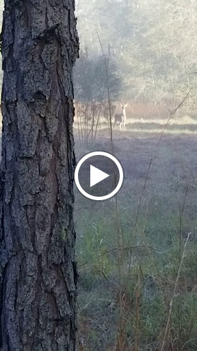 Nature Preserve «Gator Creek Reserve», reviews and photos, 9725 US Hwy 98 N, Lakeland, FL 33809, USA