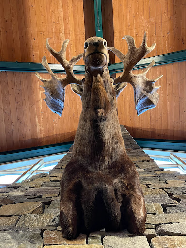 Clothing Store «L.L. Bean», reviews and photos, 95 Main St, Freeport, ME 04032, USA