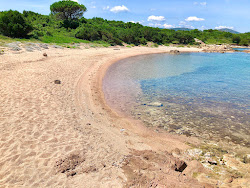Foto von Spiaggia di Punta La Greca wilde gegend