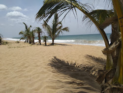 Photo de Wella Odaya Beach - endroit populaire parmi les connaisseurs de la détente