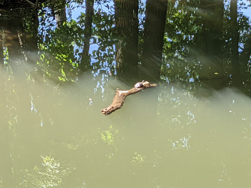 Country Club «Princeton Country Club», reviews and photos, 1 Wheeler Way, Princeton, NJ 08540, USA