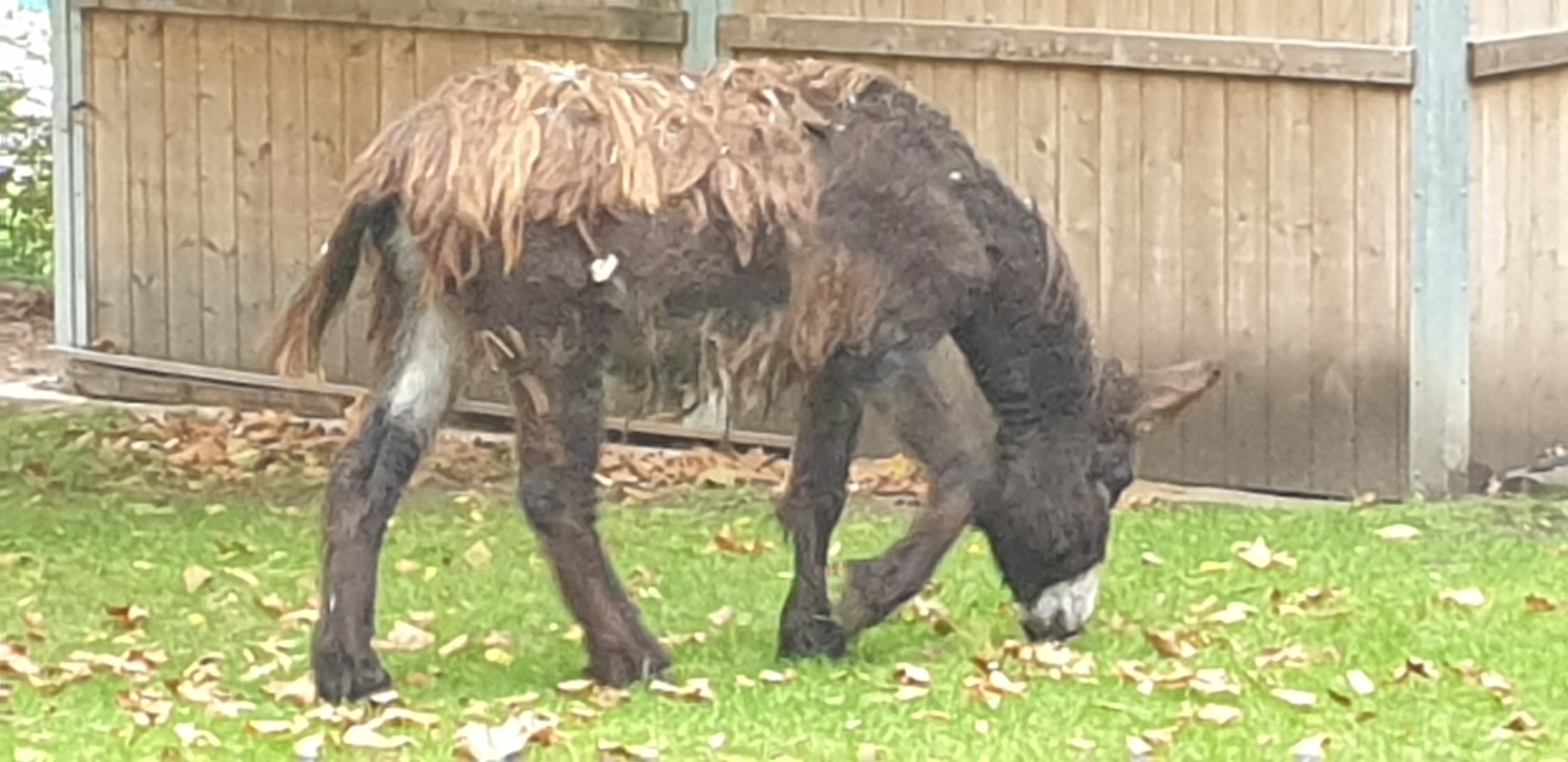 Photo n° 20 de l'avis de Julien.' fait le 23/10/2019 à 14:35