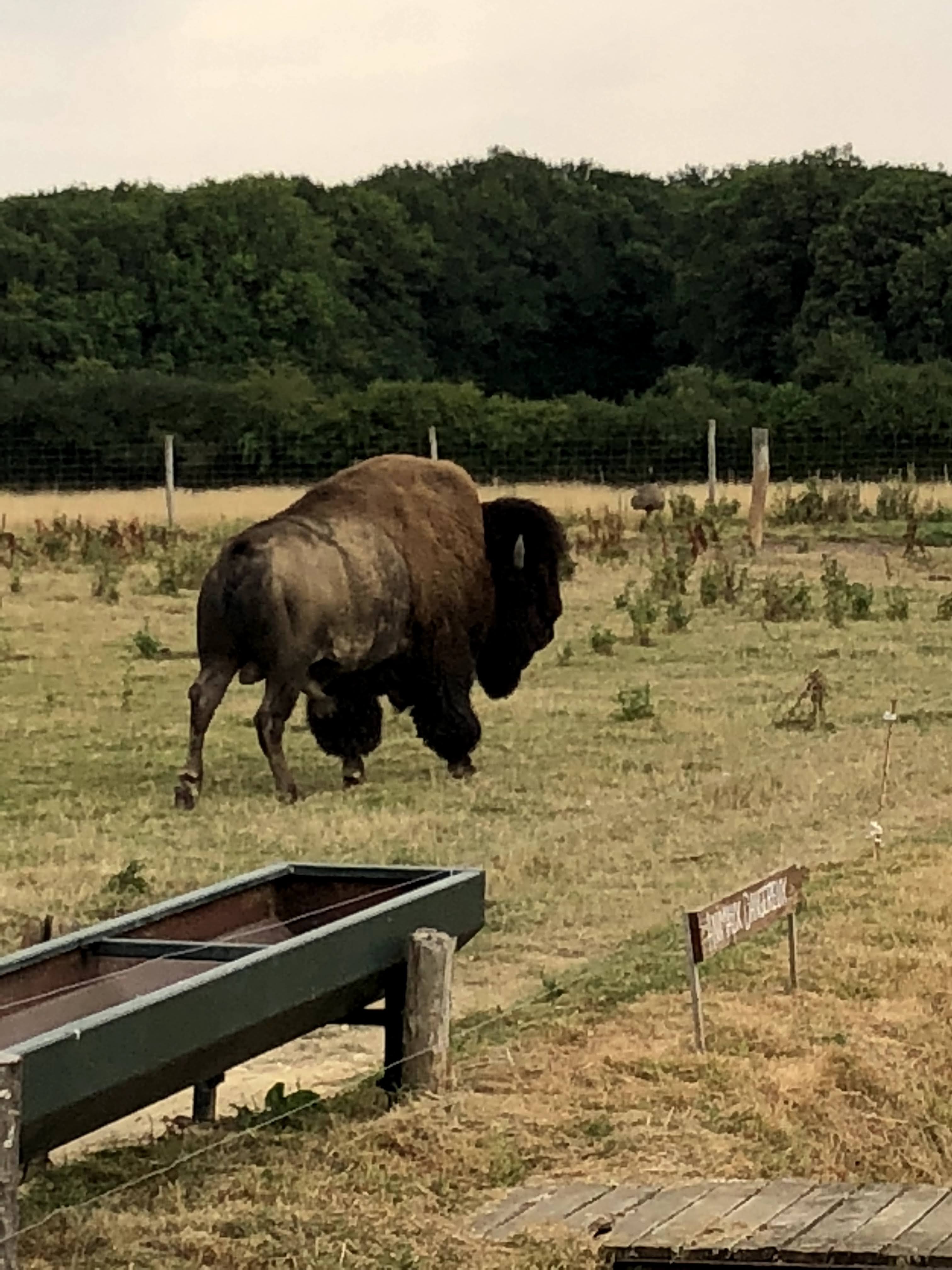 Photo n° 2 de l'avis de Julien.o fait le 27/07/2018 à 17:41