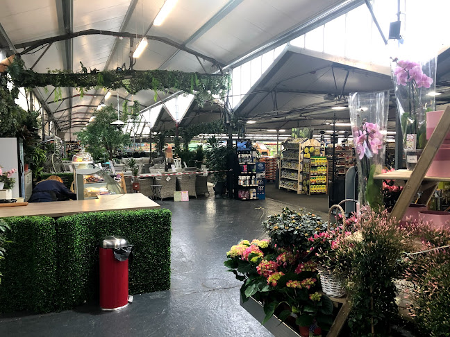 Reviews of Birchen Grove Garden Centre in London - Landscaper